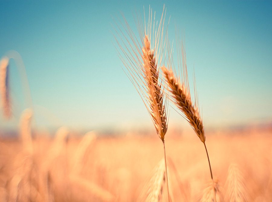 Proximité et disponibilité 